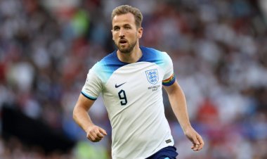 Journalist Discloses Notable Interaction Between Harry Kane and Daniel Levy Upon Their Arrival in Australia