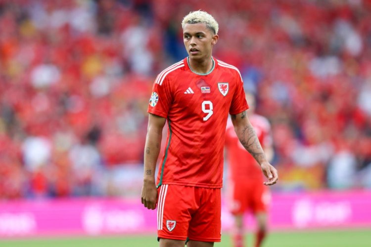 Should Harry Kane Depart, Tottenham Might Acquire Brennan Johnson, a Premier League Striker Priced at £50m